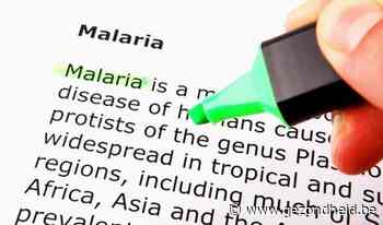 Malariapillen meer dan ooit nodig in tijden van ebola | gezondheid.be - Gezondheid.be