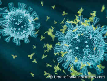 Coronavirus explainer: New Omicron sub-variant detected in India; know what it is, how different it is and if it is concerning - Times of India