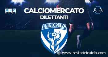 Brindisi, ufficiale l’ingaggio dell’esterno offensivo Lamin Bittaye: la scheda - Il resto del calcio