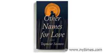 In This Debut Novel, Family Ties Bind, Even From Afar