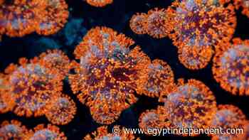 Coronavirus cases rise again by 6.9% in a week in Egypt - Egypt Independent