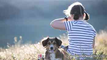 Essen: Mädchen geht mit Hund spazieren – als ein Mann dazukommt, wird es ekelhaft - DER WESTEN