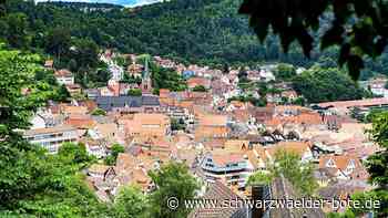 Ergebnisse des Checks: Das muss in der Calwer Innenstadt gemacht werden