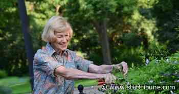Marge Hols, St. Paul gardener and columnist, dies at 86 - Star Tribune