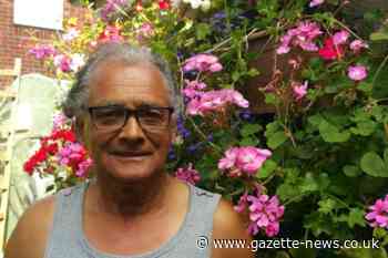 Colchester gardener told to remove 'unsafe' greenhouse | Gazette - Daily Gazette