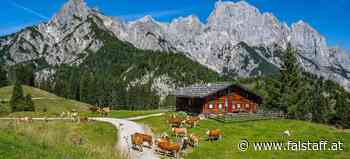 Hüttenguide 2022: Das sind die besten Hütten in Salzburg