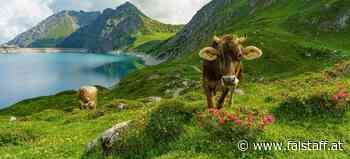 Hüttenguide 2022: Das sind die besten Hütten in Vorarlberg