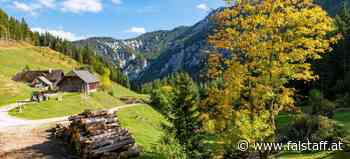 Hüttenguide 2022: Das sind die besten Hütten in der Steiermark