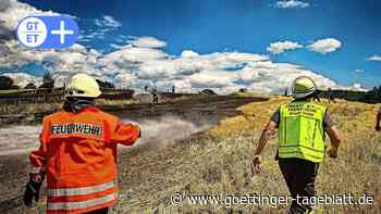 Großer Flächenbrand bei Uslar – Landwirte helfen Feuerwehr beim Löschen - Göttinger Tageblatt