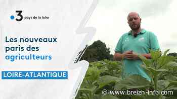 Loire-Atlantique : les nouveaux paris des agriculteurs - BREIZH-INFO
