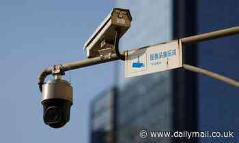 MPs call for UK ban on two Chinese CCTV cameras that can eavesdrop on conversation