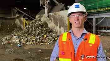 One year in, how well is Edmonton’s green bin program working?