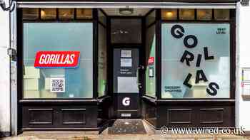 Gorillas’ Retreat Signals a Reckoning for Delivery Apps