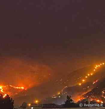 Incendi, pascoli e catasto: perché la Sicilia brucia - Livesicilia.it