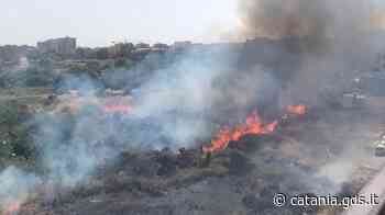 Fiamme a Catania: sterpaglie e rifiuti bruciano in via Medaglie d'Oro - Giornale di Sicilia