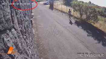 Omicidio Elena, la madre sul luogo del delitto FOTO - Livesicilia.it