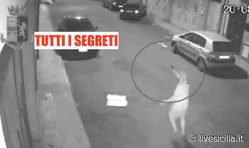 Mafia, cimici a Palermo e Catania: nuovi pentiti, verbali FOTO - Livesicilia.it