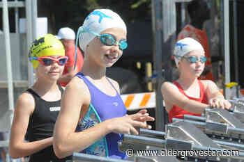 VIDEO: Langley Flippers Invitational returns to Al Anderson pool – Aldergrove Star - Aldergrove Star