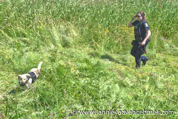 Forensics team combing rural Langley area Saturday - Langley Advance Times