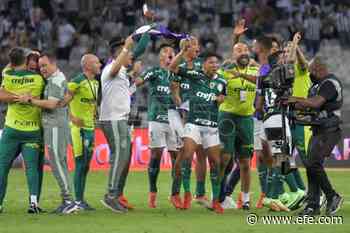 Palmeiras iguala ante Avaí y desaprovecha la oportunidad de aumentar la ventaja - Agencia EFE