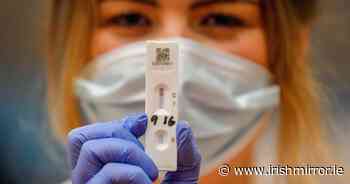 Covid Ireland: Seven reasons why some people have never caught coronavirus, according to an expert - Irish Mirror
