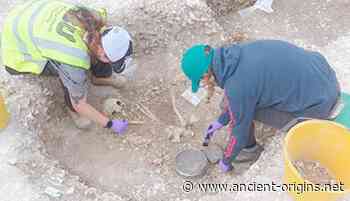 Sacrifice Remains From 100 BC Dug Up At 'Duropolis', Dorset - Ancient Origins