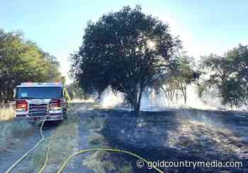 Roseville firefighters prevent fast moving fire from reaching Dudley Drive homes Saturday evening - Gold Country Media