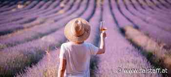 Gewinnspiel: Der Sommer wird rosé