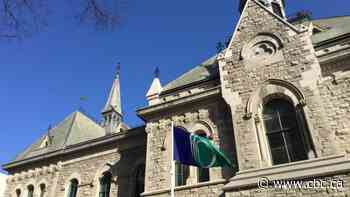 Here are the 9 people currently vying to be Ottawa's next mayor - CBC.ca