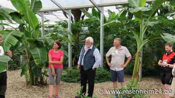 Wie Bruckmühler das Geheimnis tierischer Ohrläppchen lüften