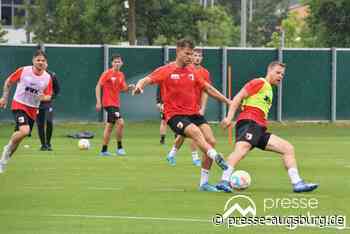 Bildergalerie | Beim FC Augsburg wird wieder geschwitzt | Presse Augsburg - Presse Augsburg