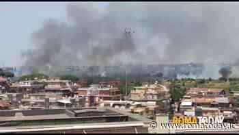 VIDEO | Maxi incendio nel parco del Pineto