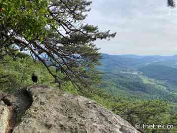 Birding the Appalachian Trail - The Trek