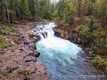 Day hiker: McCloud River Falls Trail - 3 waterfalls, one beautiful hike - Gold Country Media