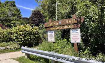 WHAT'S GOING ON HERE?: Newcastle's Lions Trail closed for the summer - durhamregion.com