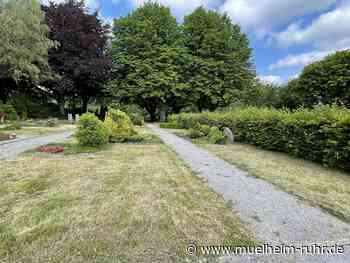 Neue Firma übernimmt Friedhofspflege