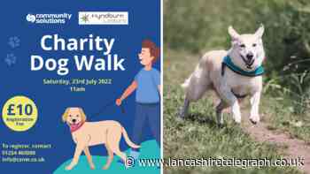 Dog owners are invited to bring their pets on charity walk