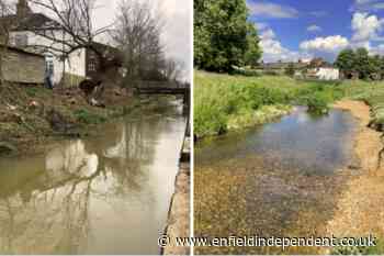 Albany Park River Restoration is UK Rivers Prize runner up - Enfield Independent