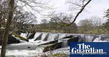 Weir today, gone tomorrow: work starts to free Cumbrian river - The Guardian