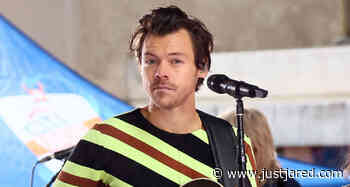 Harry Styles Cancels Copenhagen Show at Last Minute - Find Out Why