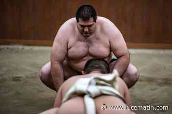 A l'abri des bombes, l'équipe nationale ukrainienne de sumo a trouvé refuge au Japon