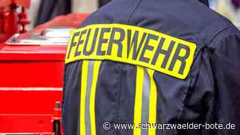 Brandstiftung? - Polizei sucht Zeugen zu brennender Mülltonne in Freudenstadt - Schwarzwälder Bote