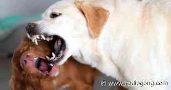 Marktheidenfeld: Schüler wird auf E-Scooter von… - 106,9 Radio Gong