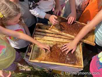 Farm camp teaches Sask. kids about food, friendship