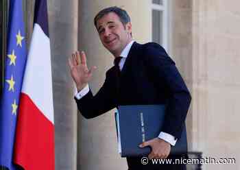 Doudou, le coq avec qui Olivier Véran va devoir cohabiter au ministère du porte-parolat du gouvernement