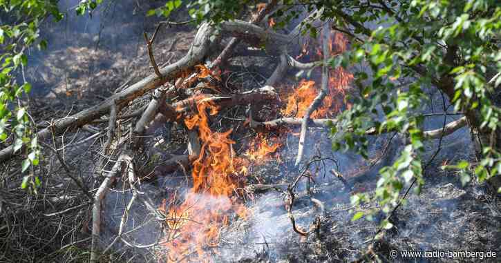 Waldbrand in Lieberoser Heide ausgebrochen
