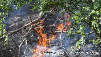 Waldbrand in Lieberoser Heide ausgebrochen