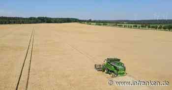 EU-Rechnungshof: Mehr Kontrolle bei Agrarsubventionen