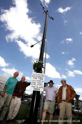 Memories of Epping Forest tree protesters' bid to save CCTV pole