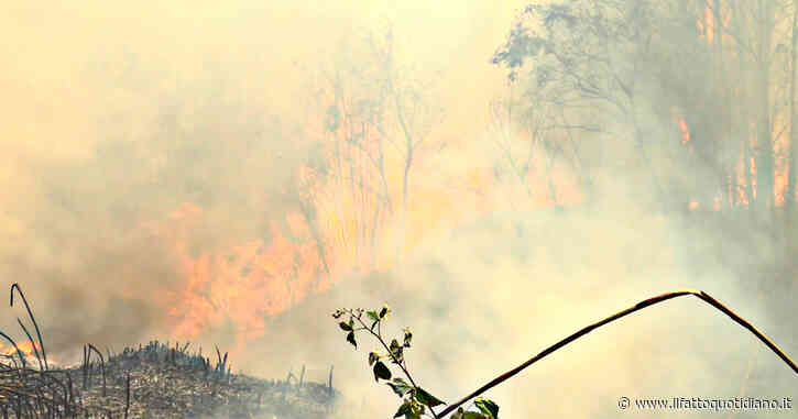 Roma, incendio nel Parco del Pineto: evacuate alcune abitazioni e un centro sportivo – Video